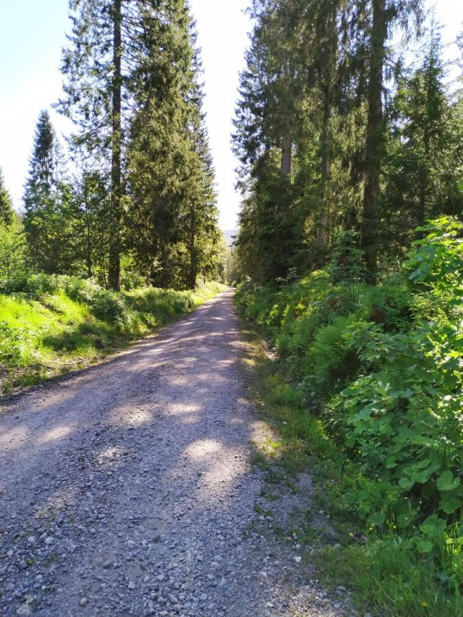 Ferienwohnung Feldberg - Residenz Grafenmatt 외부 사진
