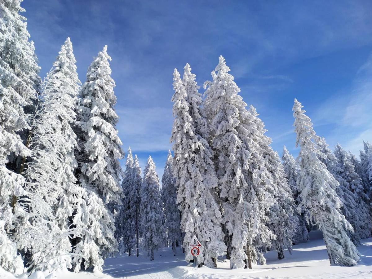 Ferienwohnung Feldberg - Residenz Grafenmatt 외부 사진