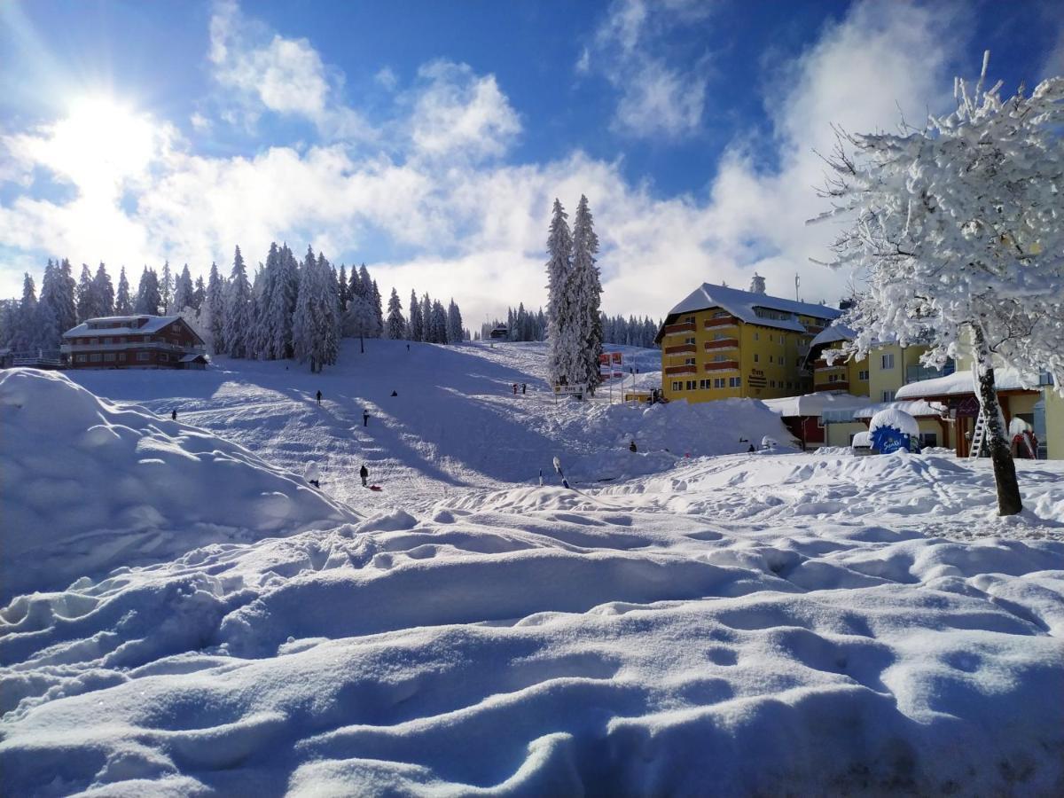 Ferienwohnung Feldberg - Residenz Grafenmatt 외부 사진